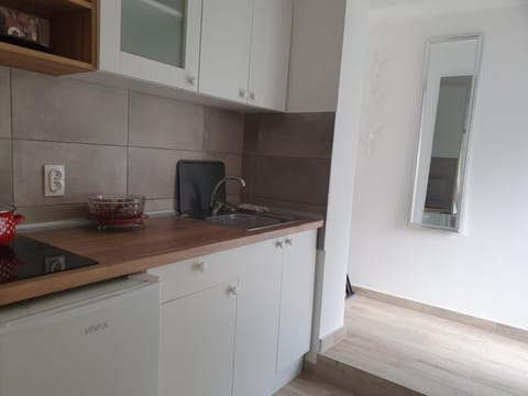 Vila Lela Apartment in Serbia