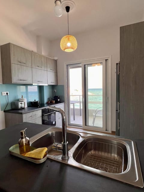 Kitchen or kitchenette, dishwasher, stove