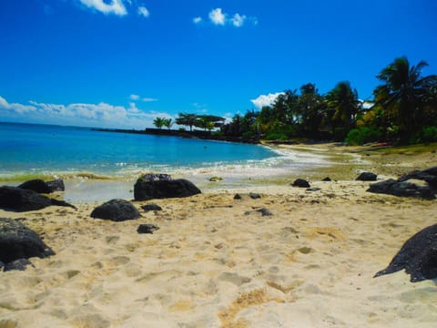 Day, Beach