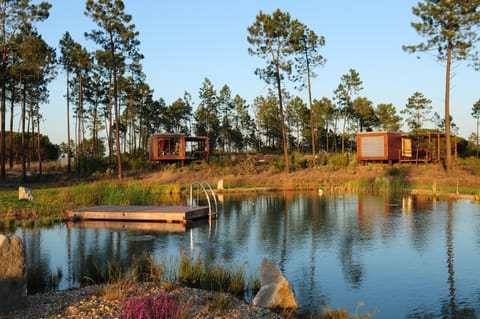 Lake view