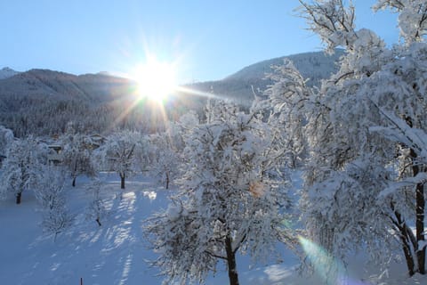 Landhaus Eiter Apartment in Tyrol