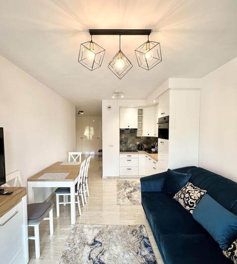 TV and multimedia, Kitchen or kitchenette, Living room, Seating area, Dining area, minibar, pet friendly