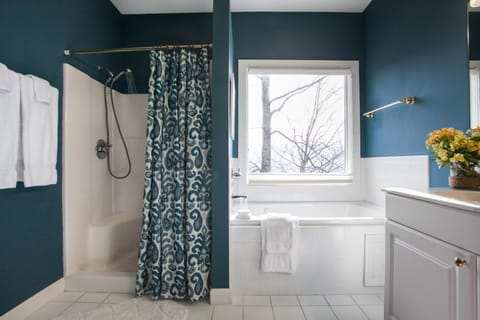 Red Plum Town Home House in Black Mountain