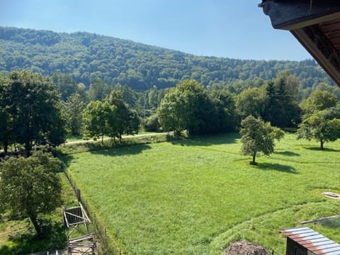 View (from property/room), Garden view