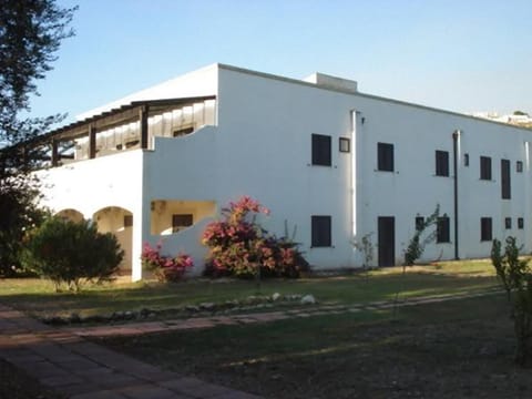 Property building, Day, Garden