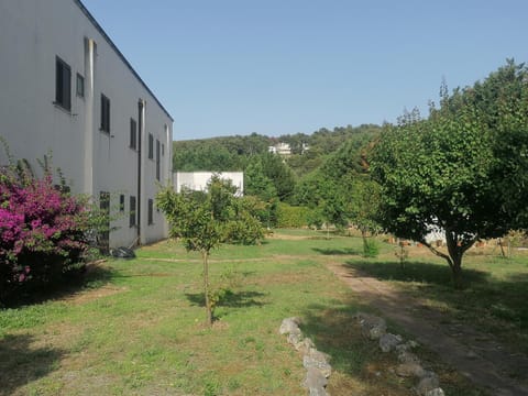 La Piana Di Calena Farm Stay in Province of Foggia