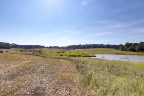 Spacious Franklin County Retreat on 80 Acres! House in Ozark Mountains