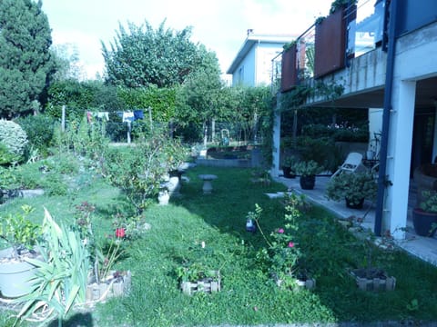 Natural landscape, Garden, Garden view