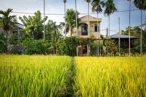 Property building, Natural landscape
