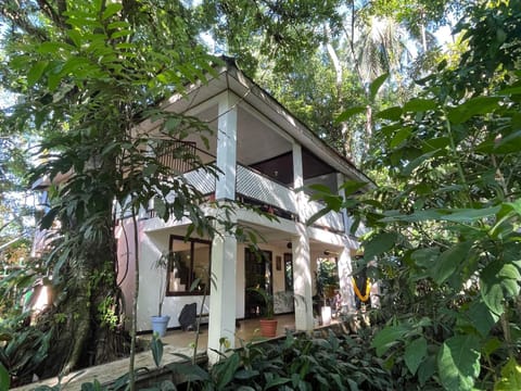 Property building, Natural landscape, Garden view
