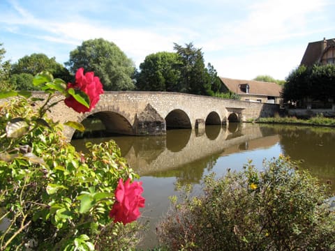 River view