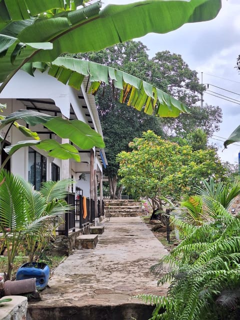 Day, Natural landscape, Garden, Garden, Garden view
