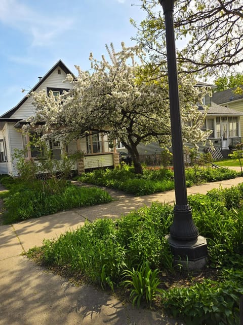 Property building, Garden, Other, Garden view, Garden view