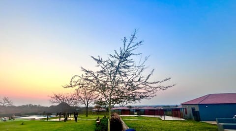 Natural landscape, Sunset