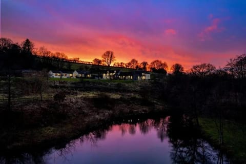 Cornflower House in Saundersfoot