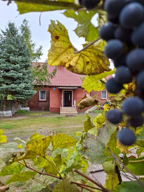 Property building, Day, Garden, Autumn, Garden view