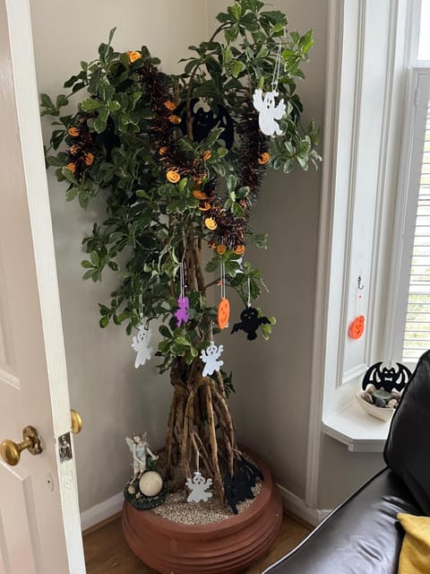 Morpeth town centre - Cottingburn House House in Morpeth