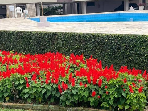 Spring, Day, Garden, Garden view, Pool view, Swimming pool