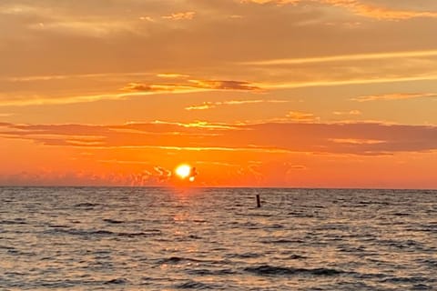 Islander's Outpost House in Palm Harbor