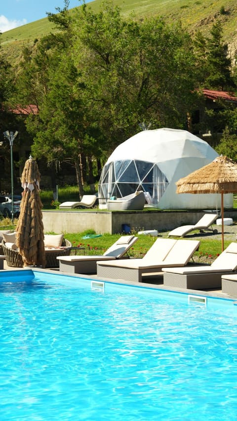 Spring, People, Natural landscape, Garden, Garden view, Mountain view, Pool view, Swimming pool, group of guests, sunbed