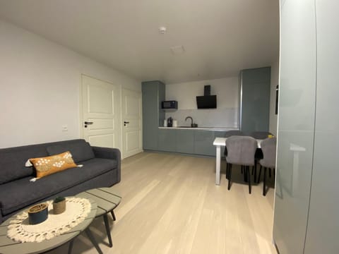 Kitchen or kitchenette, Living room, Dining area
