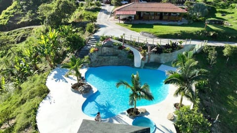 Day, Natural landscape, Garden, Garden view, Pool view, Swimming pool