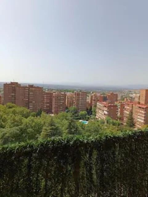 City view, City view