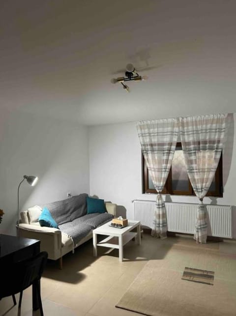 Apartament Bun Burger Apartment in Timisoara