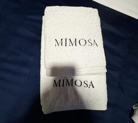 Maison Mimosa avec garage privé Apartment in Dinant