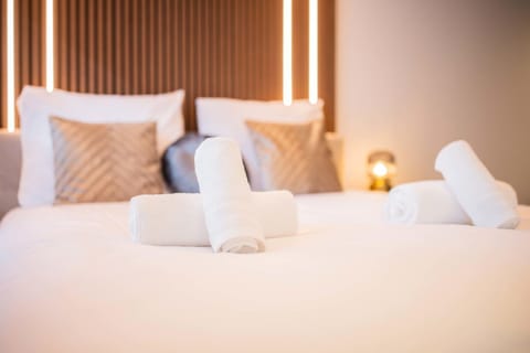 Luxurious 35m2 Designer Studio - R51A Apartment in Eindhoven