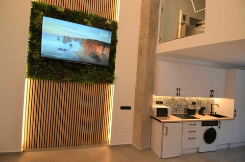 Coffee/tea facilities, Kitchen or kitchenette, Lounge or bar, minibar, stove, toaster, washing machine