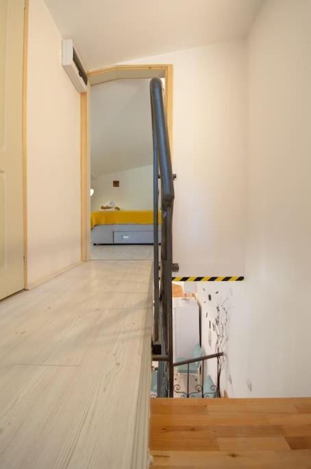 Central duplex apartment Apartment in Novi Sad