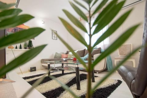 Central duplex apartment Apartment in Novi Sad