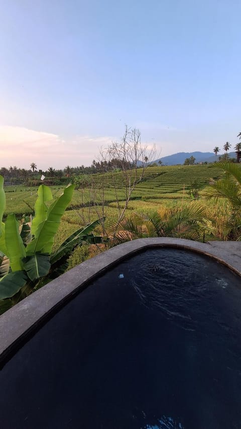 Bali Beach Eco Villas Bali Batu Beach Hut Villa in West Selemadeg