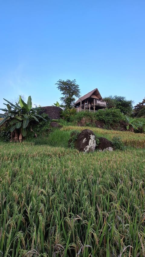 Bali Beach Eco Villas Bali Batu Beach Hut Villa in West Selemadeg