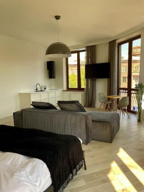 Bed, TV and multimedia, Kitchen or kitchenette, Living room, Photo of the whole room, Seating area, Bedroom