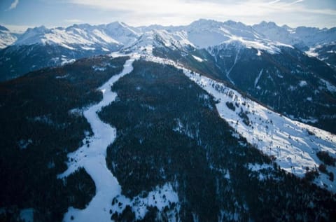 La Remointze Apartment in Nendaz