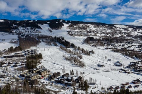 Natural landscape, Bird's eye view, Winter, Ski School, Ski School, Skiing, Skiing, Hiking, Hiking, Mountain view, Parking, acessibility
