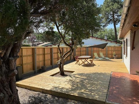 Patio, Garden