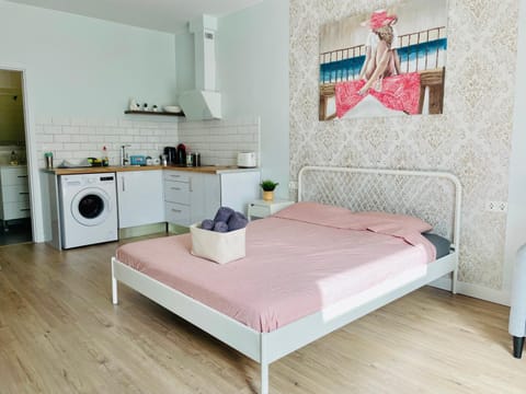 Bed, Kitchen or kitchenette, Bedroom, stove, washing machine