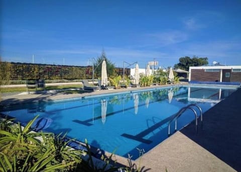 Day, Swimming pool, sunbed