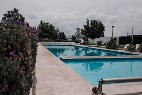 Pool view, Swimming pool, sunbed