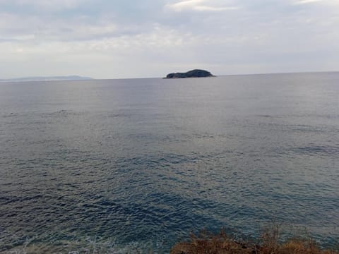 Gästehaus Edelweiss Olympiada Halkidikis House in Halkidiki