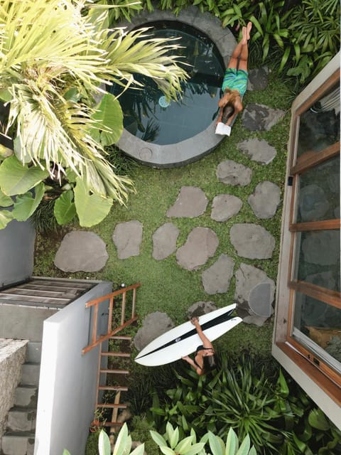 Day, People, Natural landscape, Garden, Garden view, Pool view, Swimming pool, group of guests