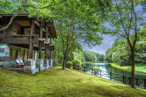 Lake view