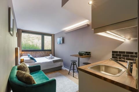 Fantastic studio by the lake with Mountain View Apartment in Les Houches