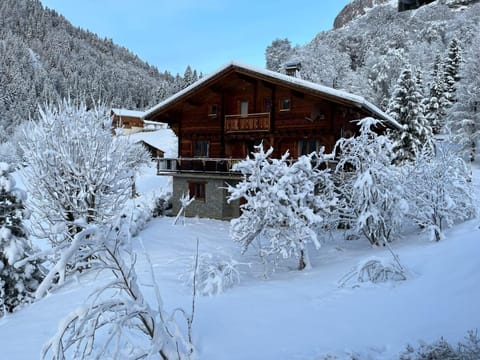 la calèche, rez de jardin, garden floor Chalet in La Clusaz
