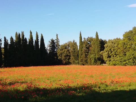 Villa Mirabelle Apartment in Uzes