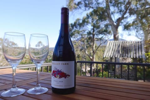 Mountains and Treetops Retreat - Nature Getaway House in Glenorchy