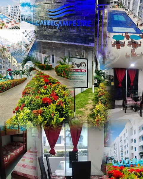 Property building, Communal lounge/ TV room, Day, Garden, Living room, Seating area, Evening entertainment, Garden view